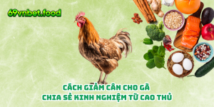 Cách Giảm Cân Cho Gà – Chia Sẻ Kinh Nghiệm Từ Cao Thủ