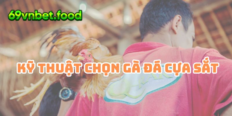 Hot - Kỹ Thuật Chọn Gà Đá Cựa Sắt Chuẩn Đét 2024